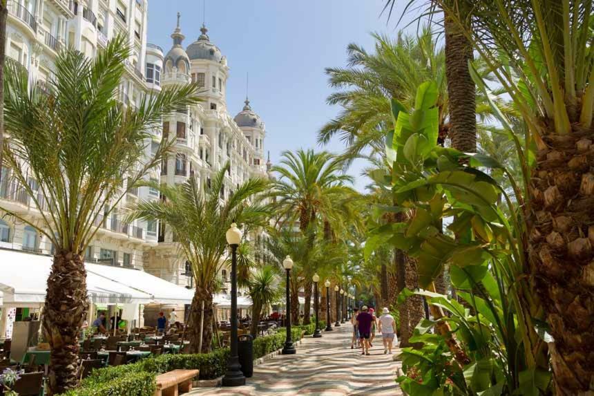 Un Lujo En El Corazon De Alicante Eksteriør billede